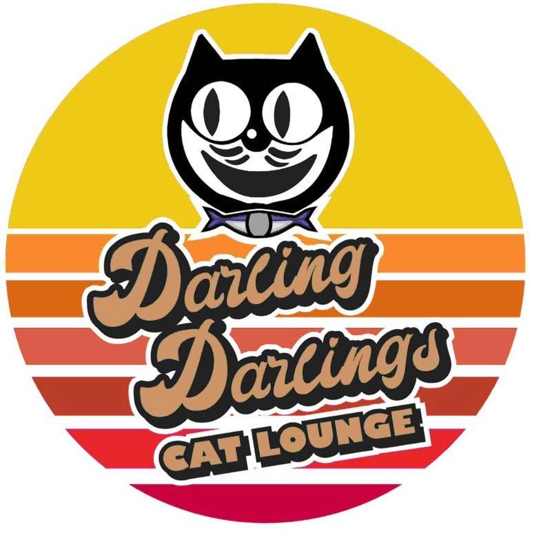 Darling Darlings Cat Lounge in Great Yarmouth, Norfolk