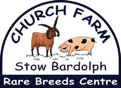 Church Farm Stow Estate Trust in Wimbotsham, Norfolk