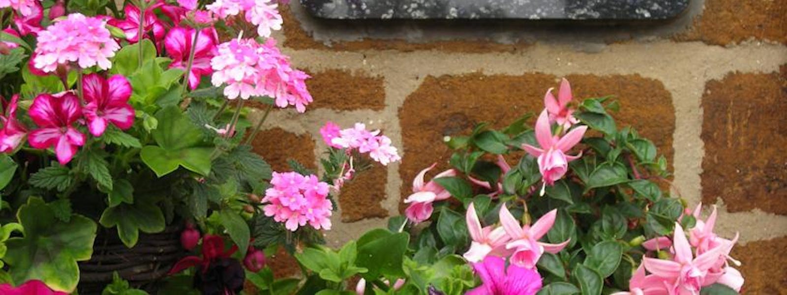 Ellinbrook House Bed & Breakfast in Hunstanton, Norfolk