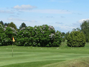 Feltwell Golf Club in Feltwell, Norfolk