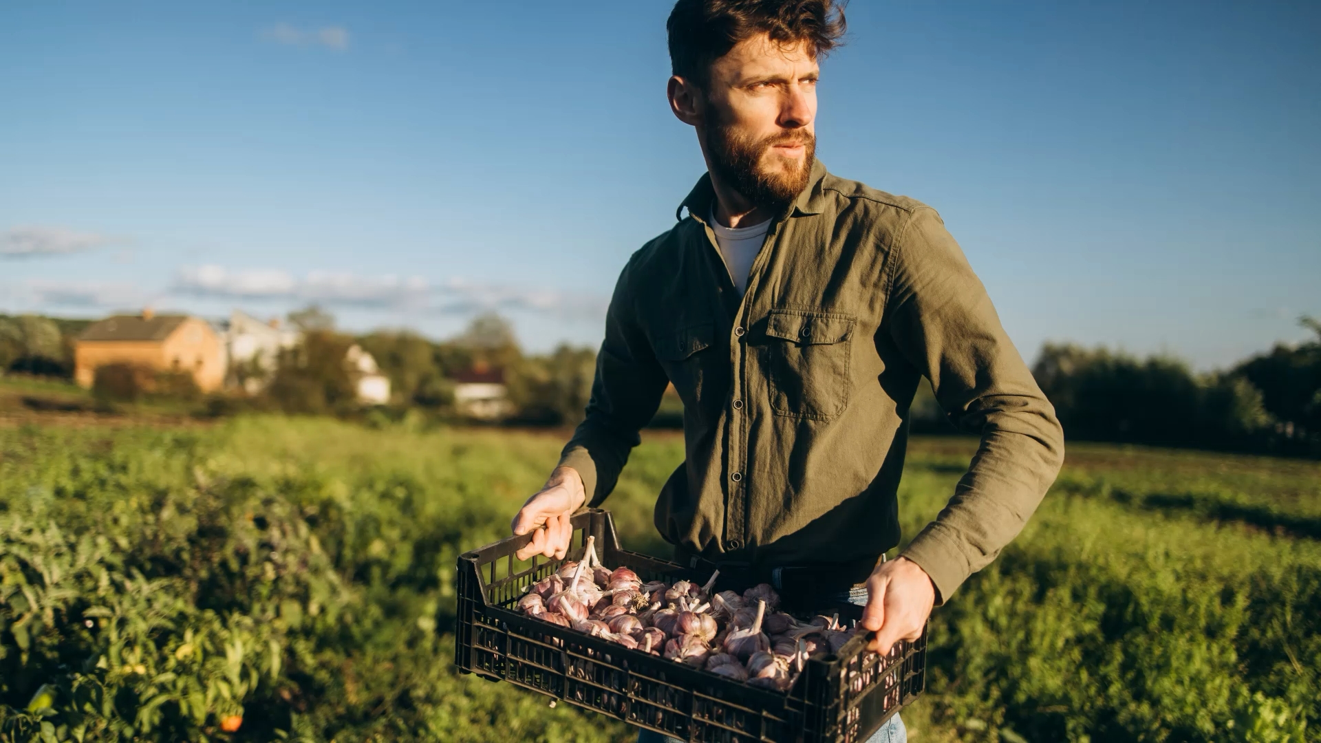 Olive Catering Services in King's Reach, Norfolk