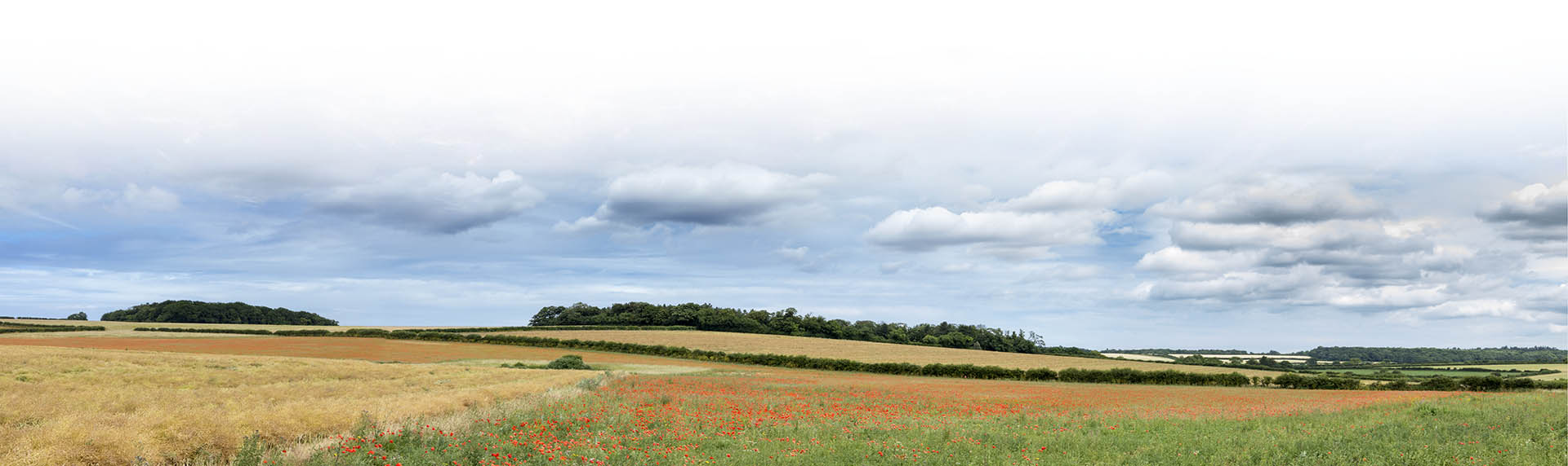 Archangel Distilleries in Dunton, Norfolk