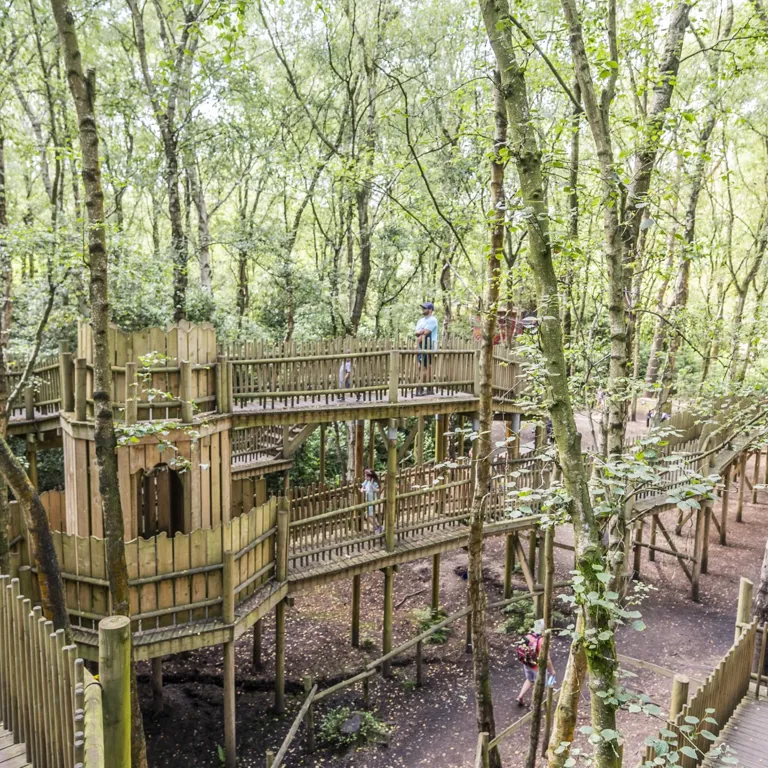 Bewilderwood in Hoveton, Norfolk