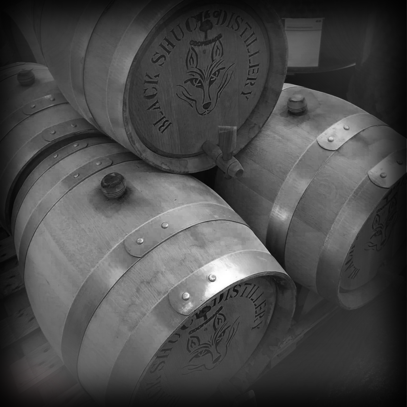Black Shuck Distillery in Hindolveston, Norfolk