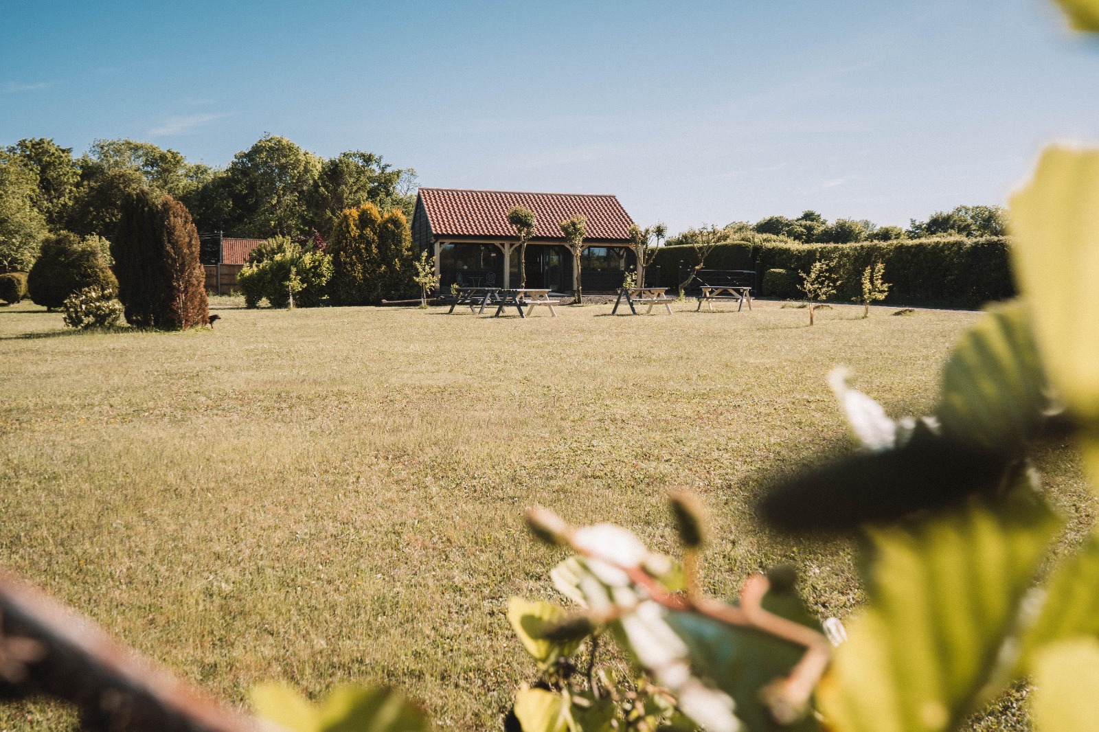 Chestnuts Coffee Shop in Fundenhall, Norfolk