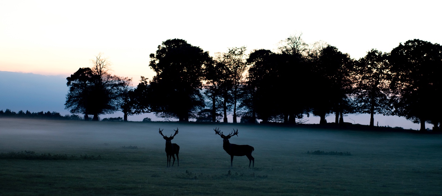 Gunton Arms in Antingham, Norfolk