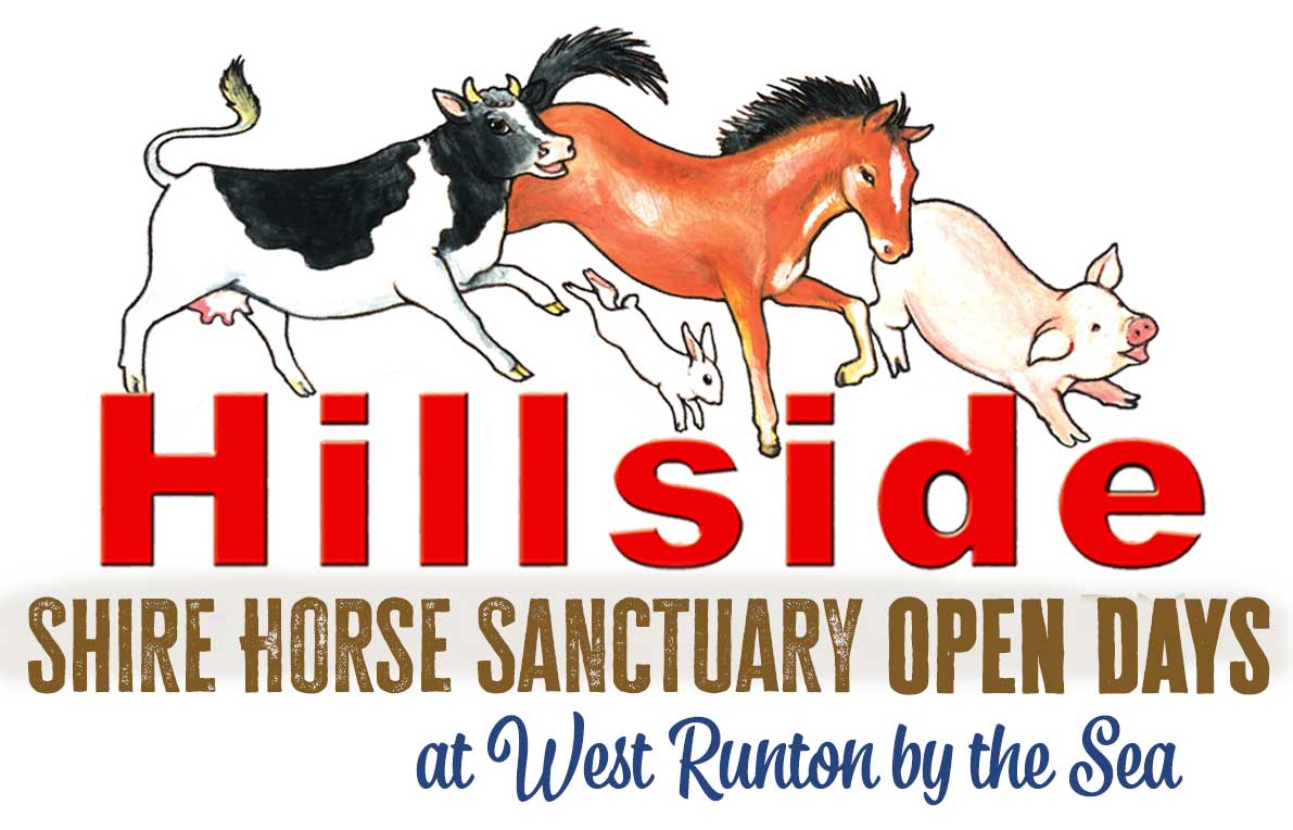 Hillside Animal & Shire Horse Sanctuary in West Runton, Norfolk