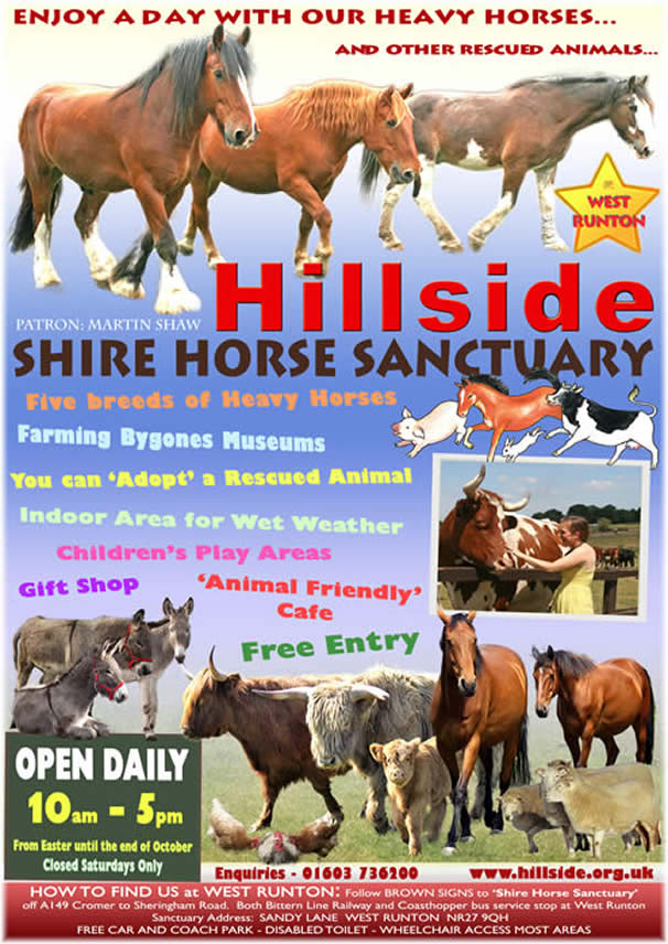 Hillside Animal & Shire Horse Sanctuary in West Runton, Norfolk