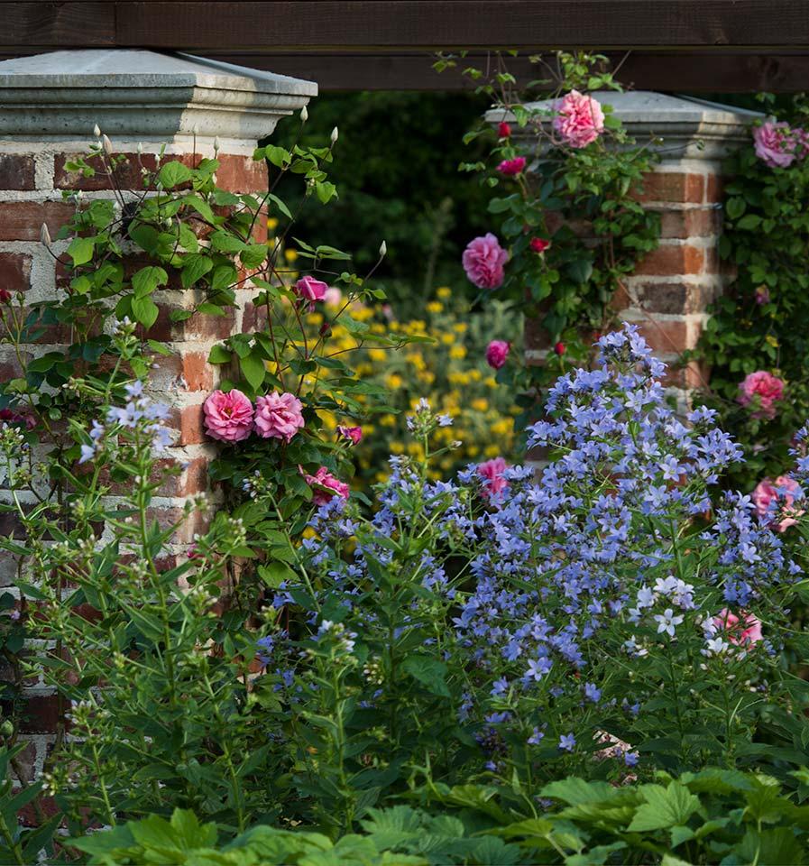 Hindringham Hall Gardens in Hindringham, Norfolk