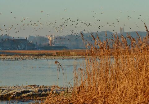 Norfolk Wildlife Trust Cley Marshes in Cley next the Sea, Norfolk