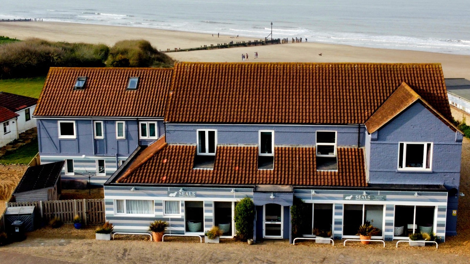 Seals in Walcott, Norfolk