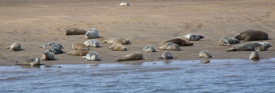 Searles Sea Tours in Hunstanton, Norfolk