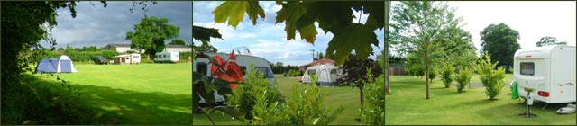 Pineview in Briston, Norfolk