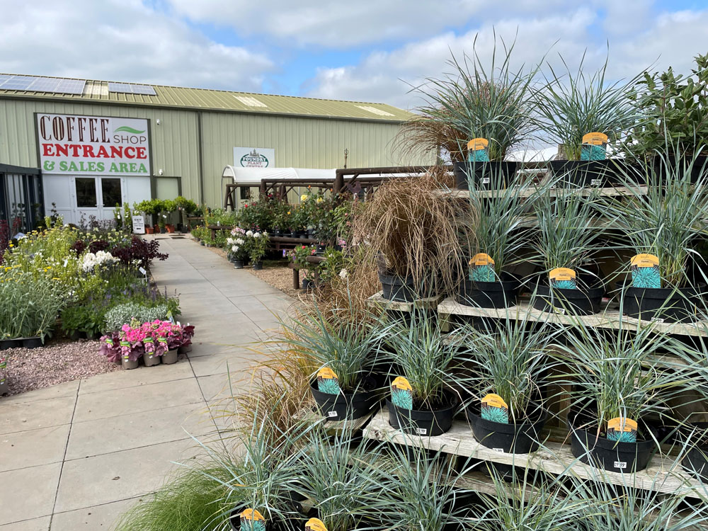 Foundry Plant Centre Coffee Shop in Tasburgh, Norfolk