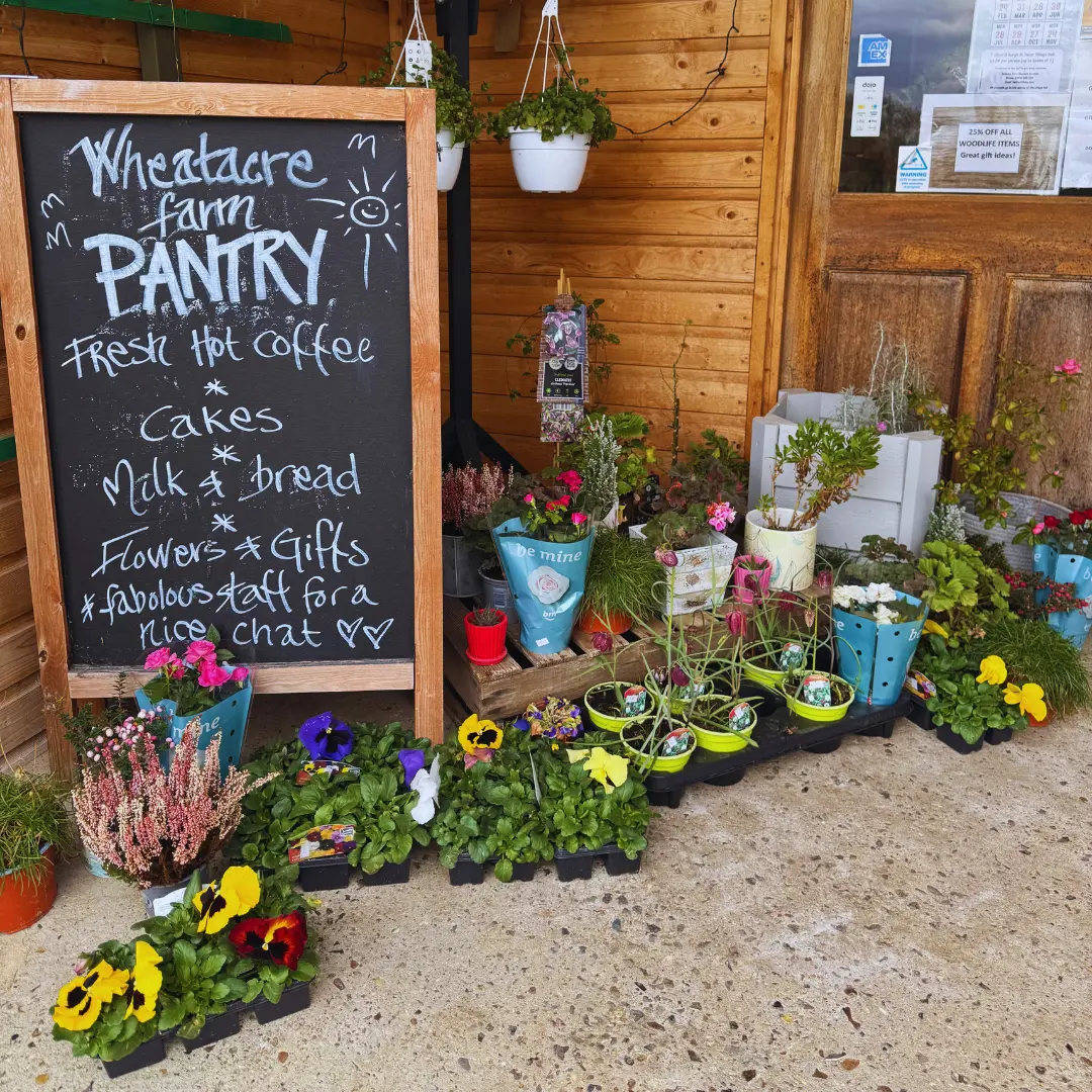 The Farmhouse Kitchen Wheatacre in Wheatacre, Norfolk