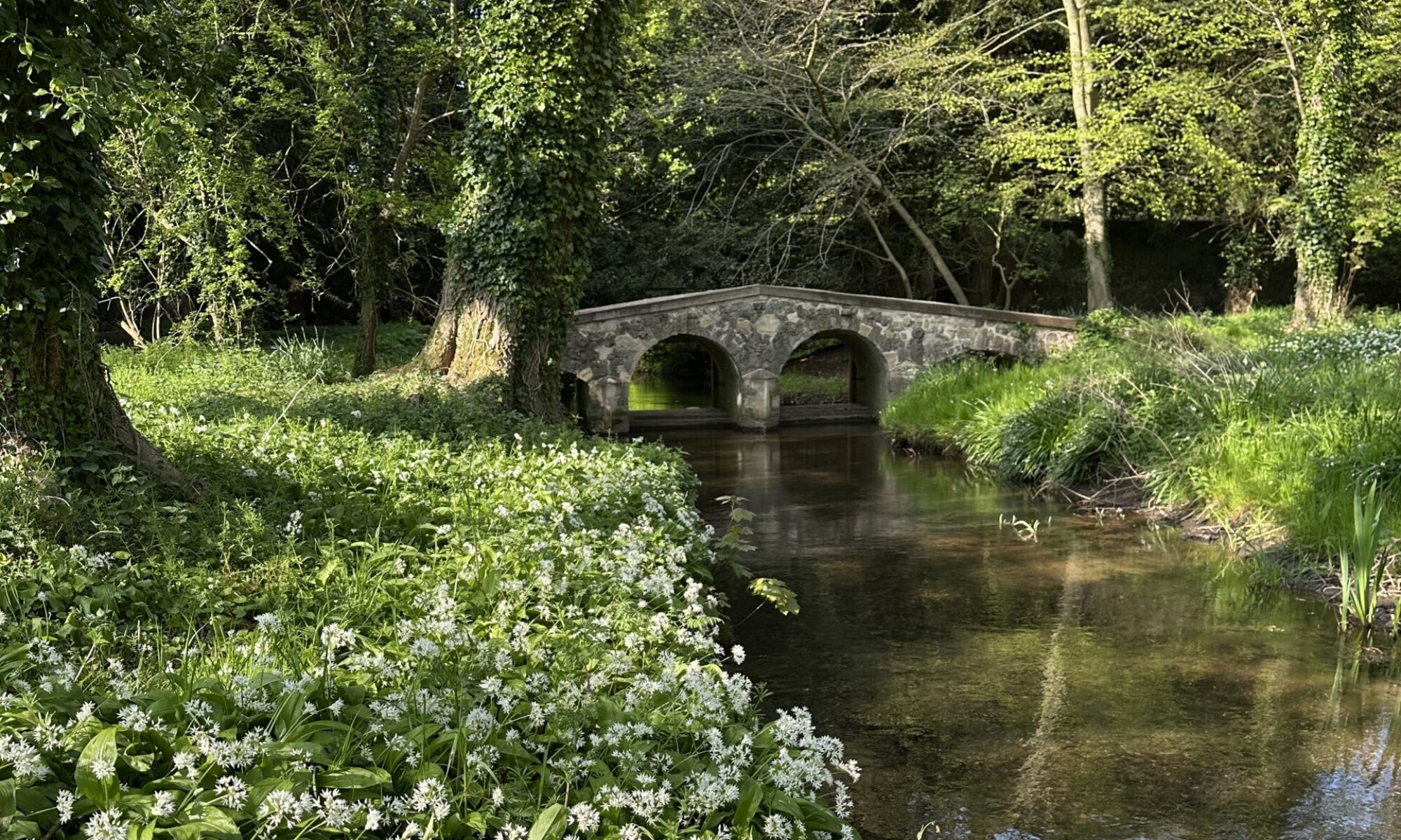 Abbey Grounds in Little Walsingham, Norfolk