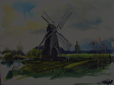 Wicken Fen in Witchford, Norfolk