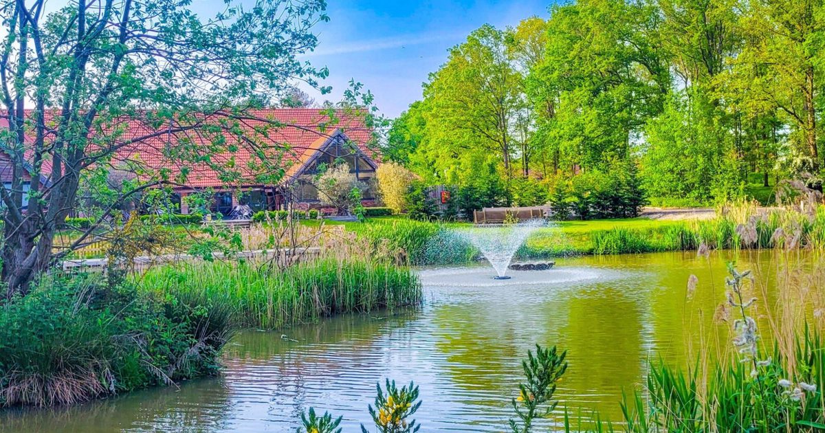 Hay's Wood Retreat in North Runcton, Norfolk