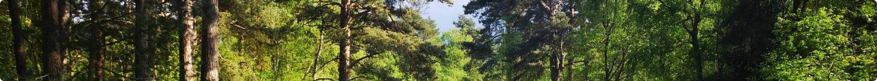 Kelling Heath Holiday Park in High Kelling, Norfolk