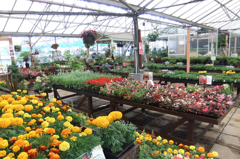 Fritton Plant Centre and Indoor Flea Market in Fritton, Norfolk