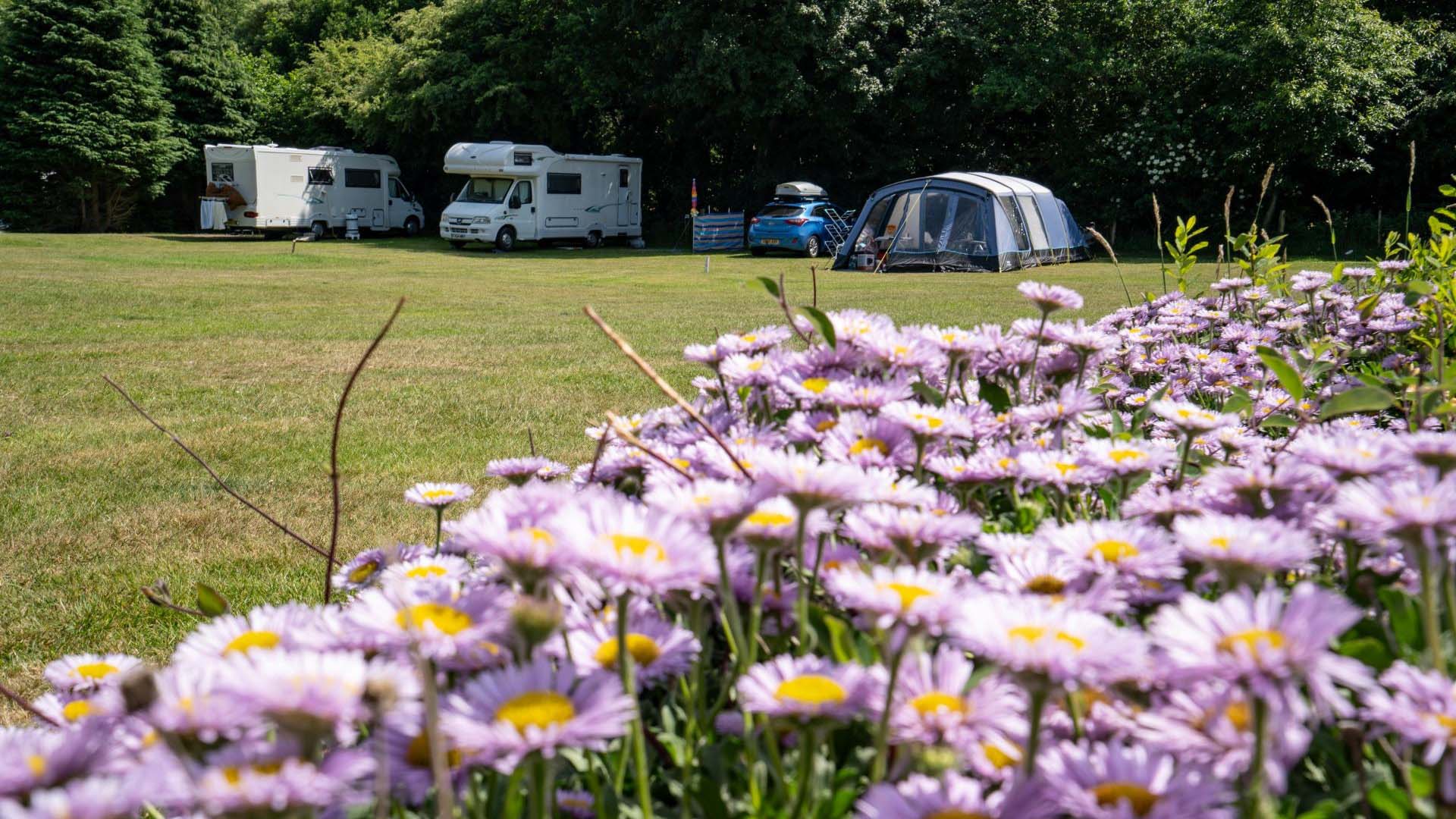 West Runton in East Runton, Norfolk