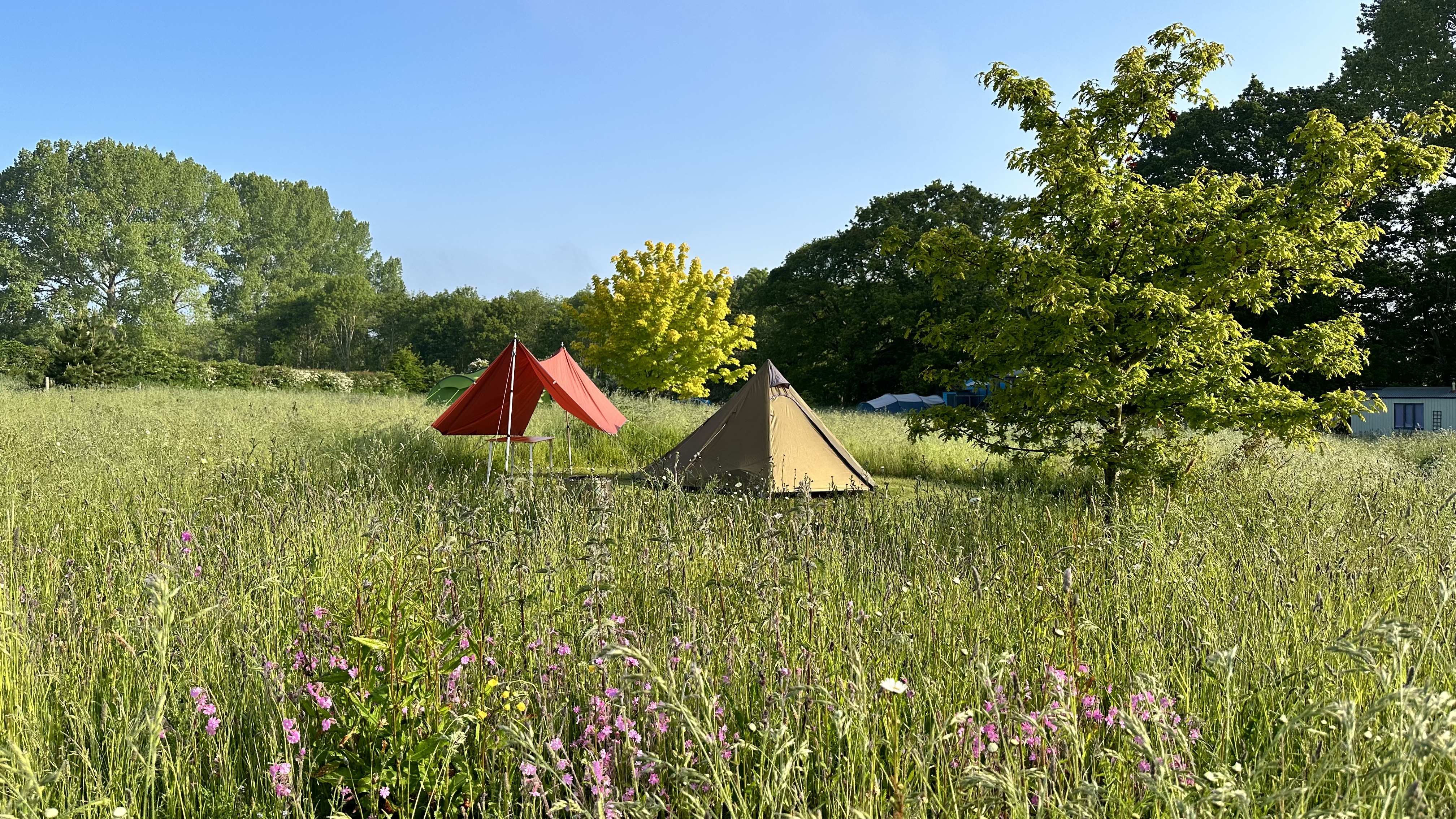 Wardley Hill Campsite in Ellingham, Norfolk