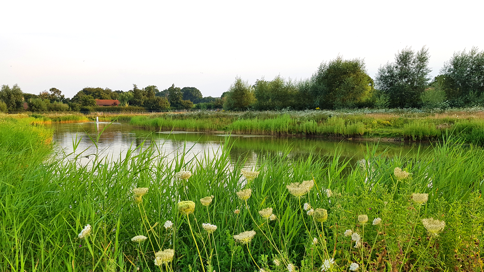 Wensum View Gardens in New Catton, Norfolk