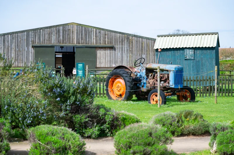 Snettisham Park in Ingoldisthorpe, Norfolk