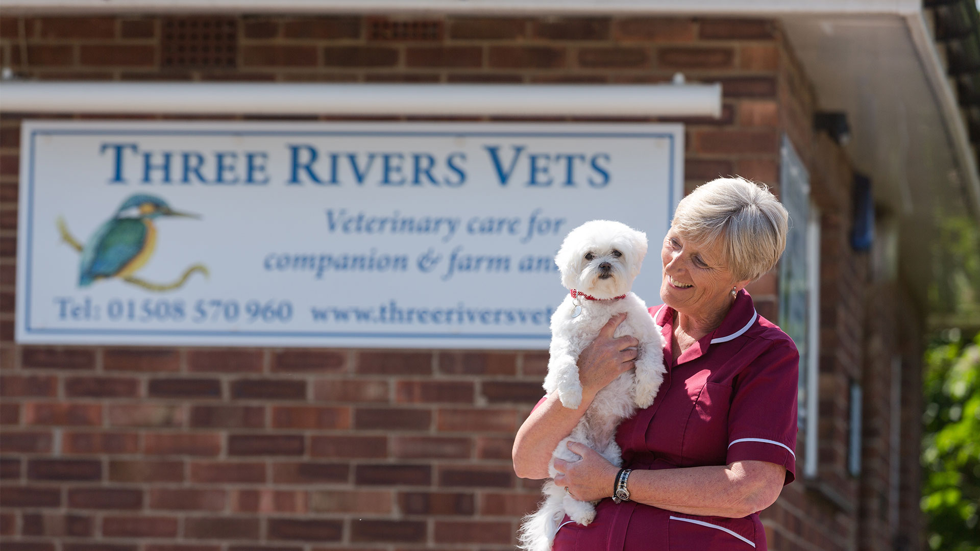 Three Rivers Vet in Loddon, Norfolk