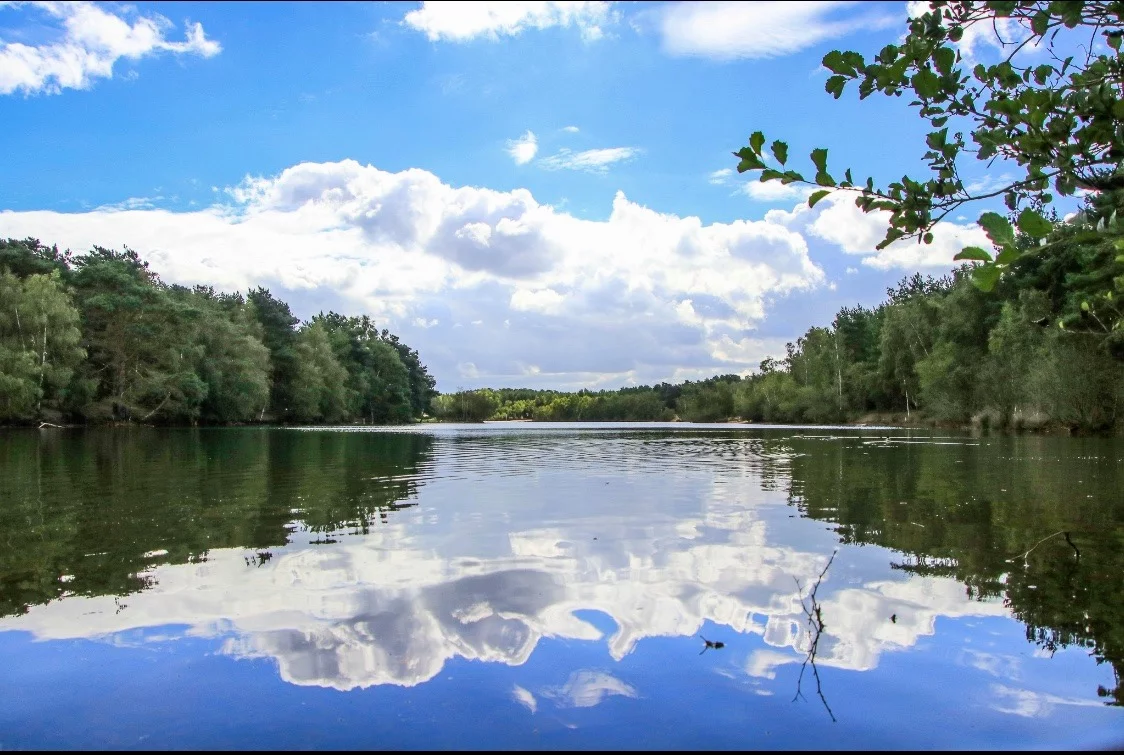 Bawsey Country Park in Leziate, Norfolk