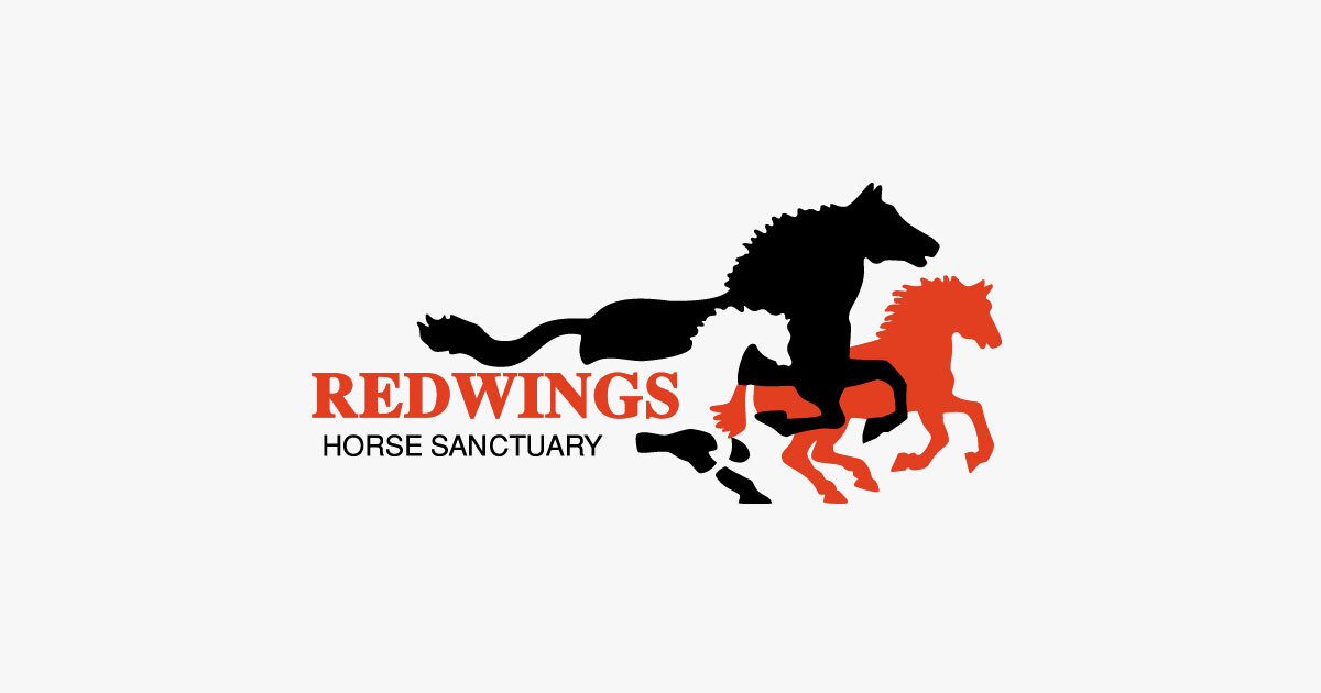Redwings Enterprises Limited in Aylsham, Norfolk